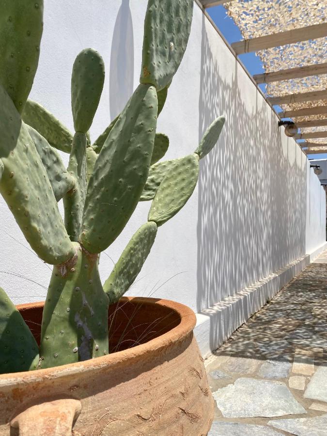 Fikas Hotel Naxos City Exterior photo
